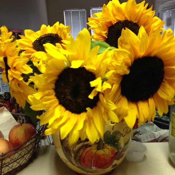 Meet your Posher, Maria - Picture 8 of 8